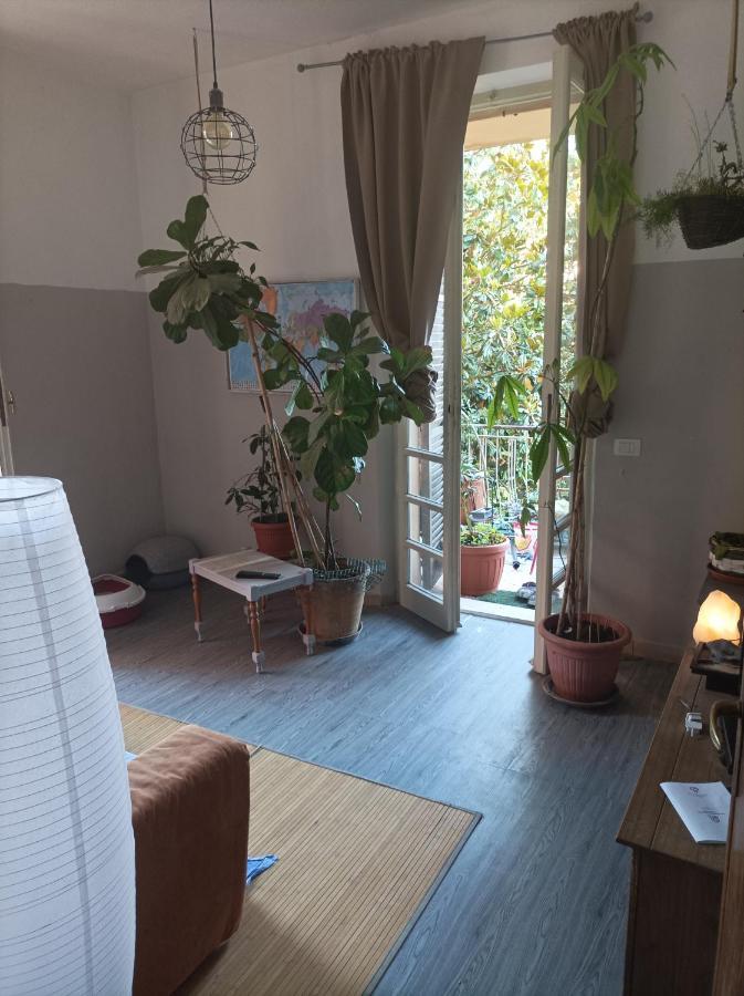 Апартаменти Boh & Boh A Casa Di Luca And His Cats Перуджа Екстер'єр фото