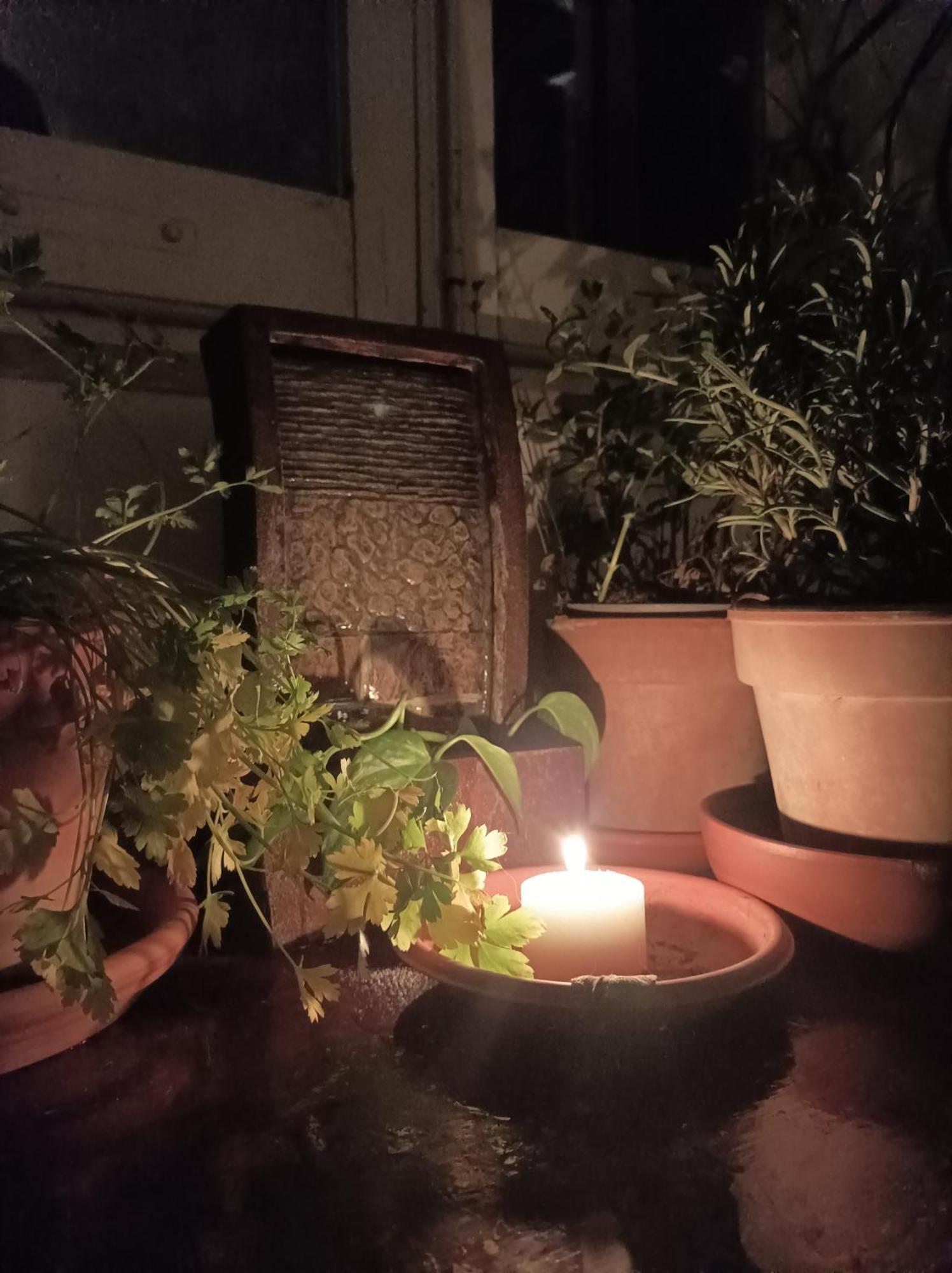 Апартаменти Boh & Boh A Casa Di Luca And His Cats Перуджа Екстер'єр фото