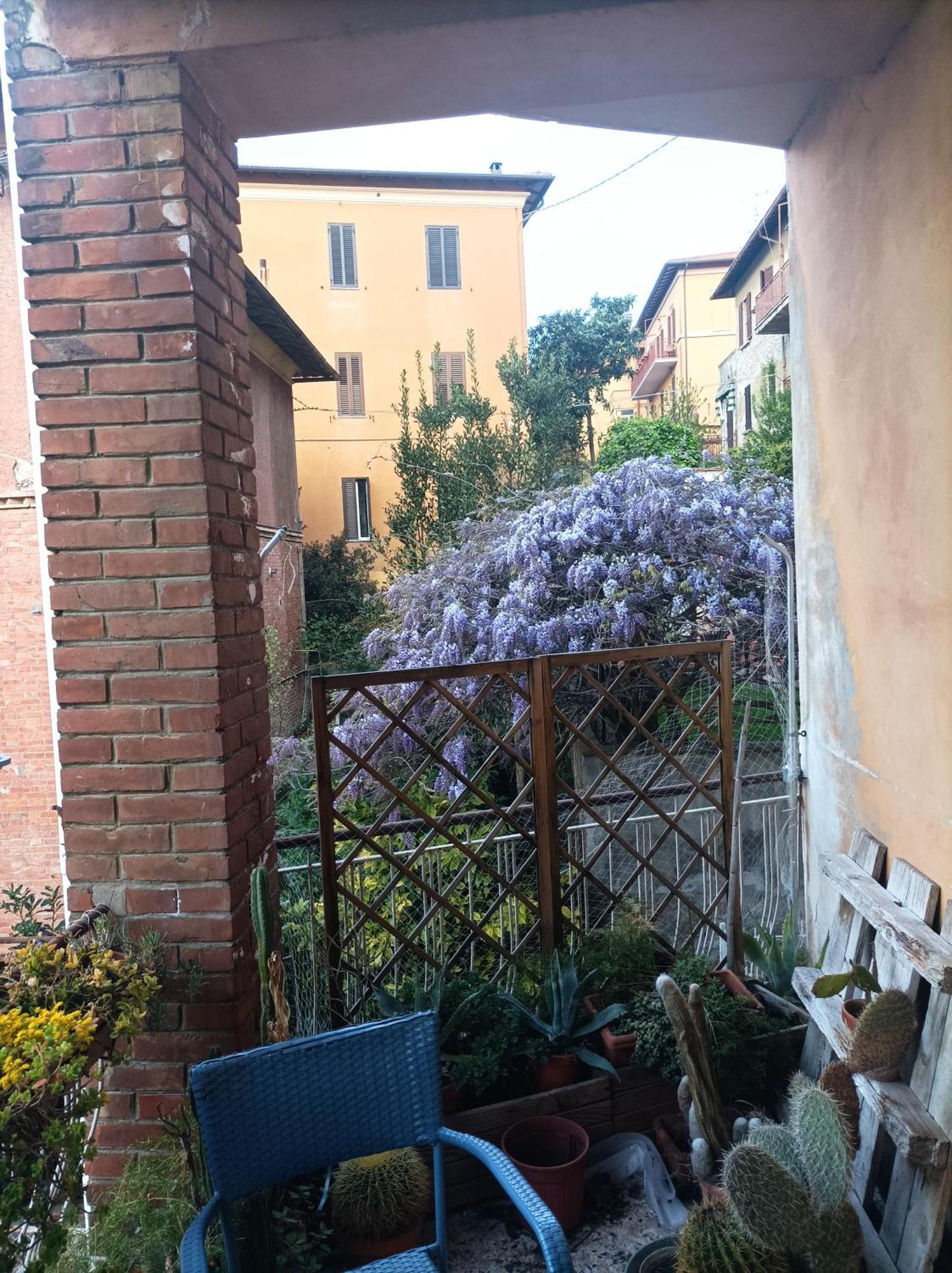 Апартаменти Boh & Boh A Casa Di Luca And His Cats Перуджа Екстер'єр фото