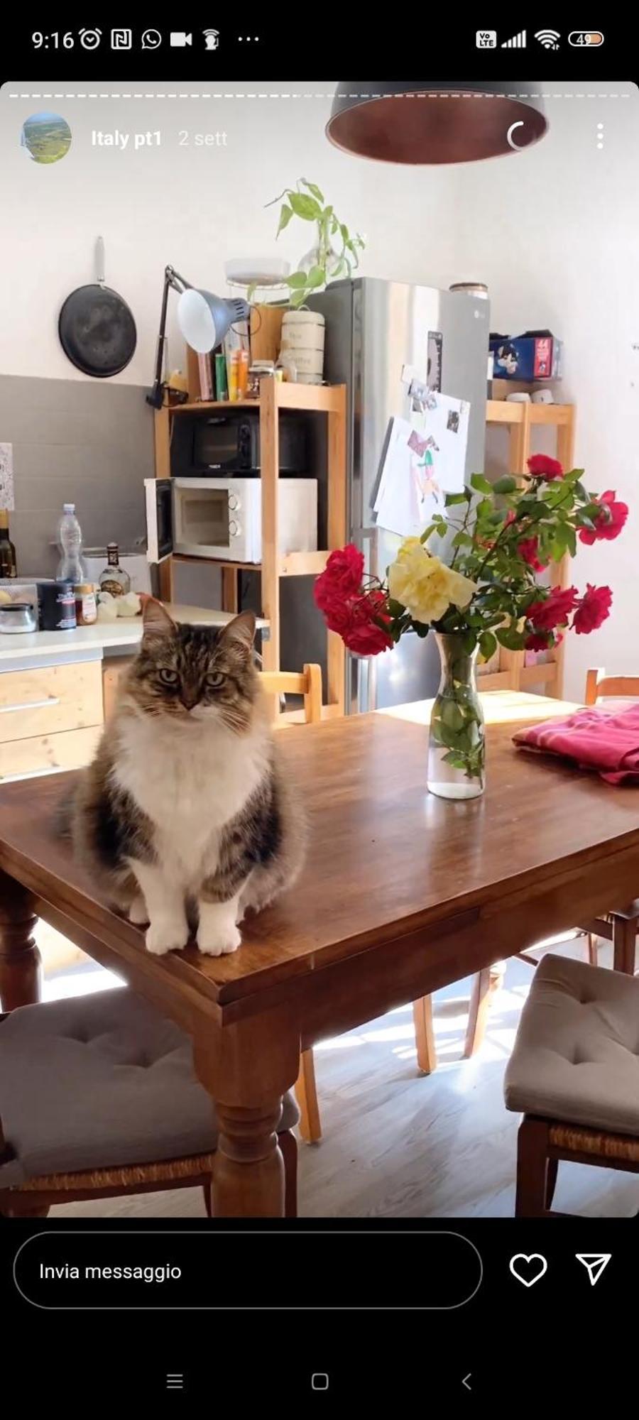 Апартаменти Boh & Boh A Casa Di Luca And His Cats Перуджа Екстер'єр фото