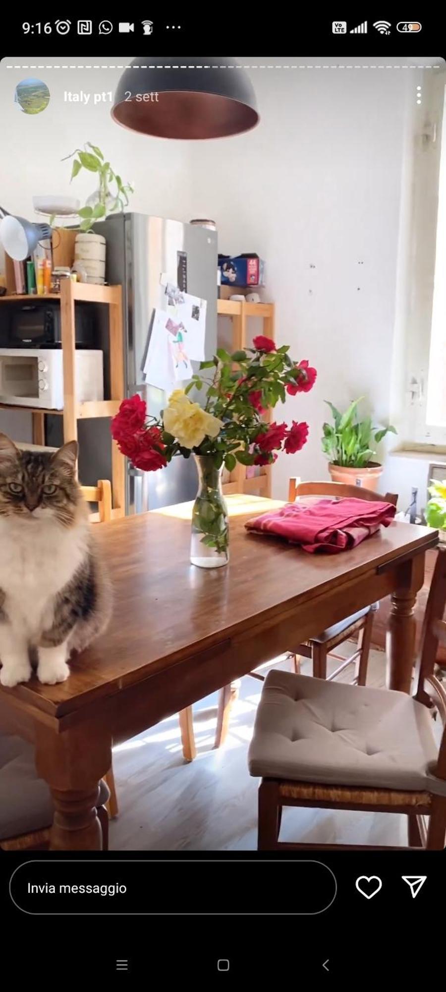 Апартаменти Boh & Boh A Casa Di Luca And His Cats Перуджа Екстер'єр фото